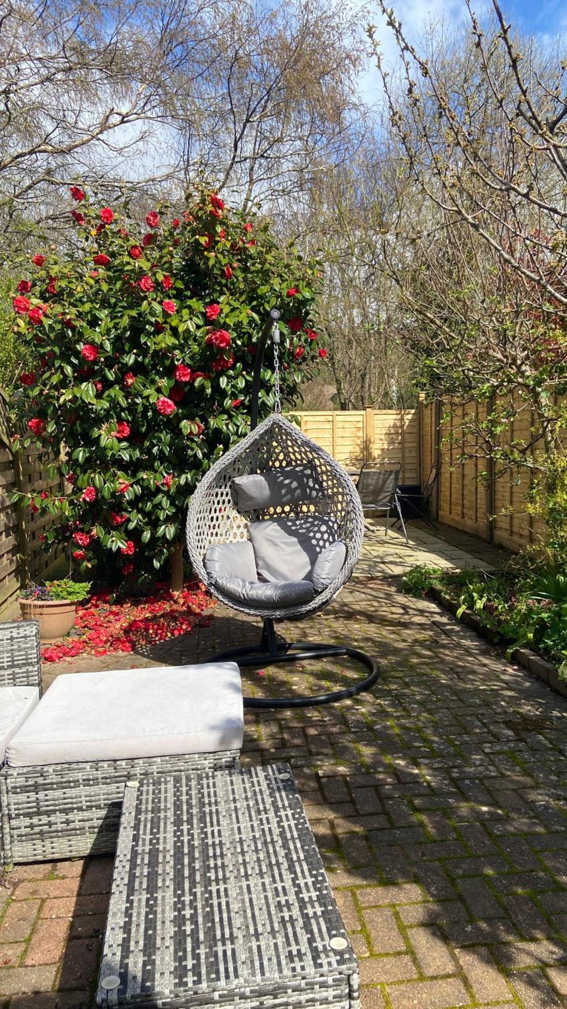 Beautiful Bexhill Cottage With Garden 3 Mins Walk To Beach 외부 사진